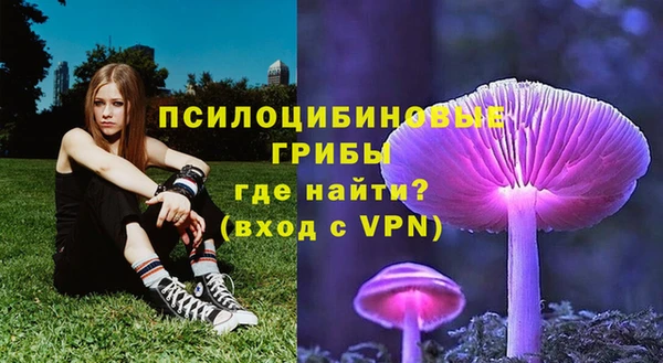 ECSTASY Алексеевка