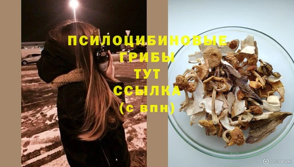 ECSTASY Алексеевка